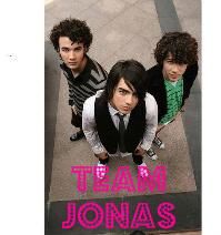 jonas brothers